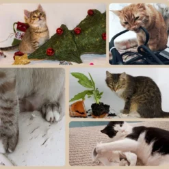 FURNIinspire3-Level Cat Tree With Sisal Scratching Posts, Fun Cat Badminton Toy For Playing, Soft Cushions & Play Areas, 25.5"*17.75"*46.5" -Outdoor Kitchen & Living GUEST 4f85f84f fe16 4de3 a06c 80677bbd54b6