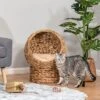 FURNIinspire Pet Crates And Houses Cat Bed With Cushions, Cat Basket Bed, High Cat House, Comfy Kitty Basket House, Brown, 16.5"*19.75"*23.5" 1 FURNIinspire Pet Crates And Houses Cat Bed With Cushions, Cat Basket Bed, High Cat House, Comfy Kitty Basket House, Brown, 16.5"*19.75"*23.5" -Outdoor Kitchen & Living GUEST 7defd677 c9d3 4add bea6 1862c9e56db9